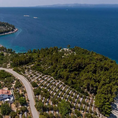 Cozy In With House Sea View *